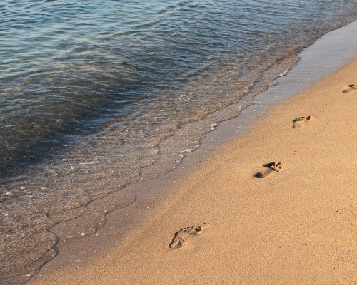 CazareMamaia.ro - oferte de cazare la unitățile din stațiunea Mamaia